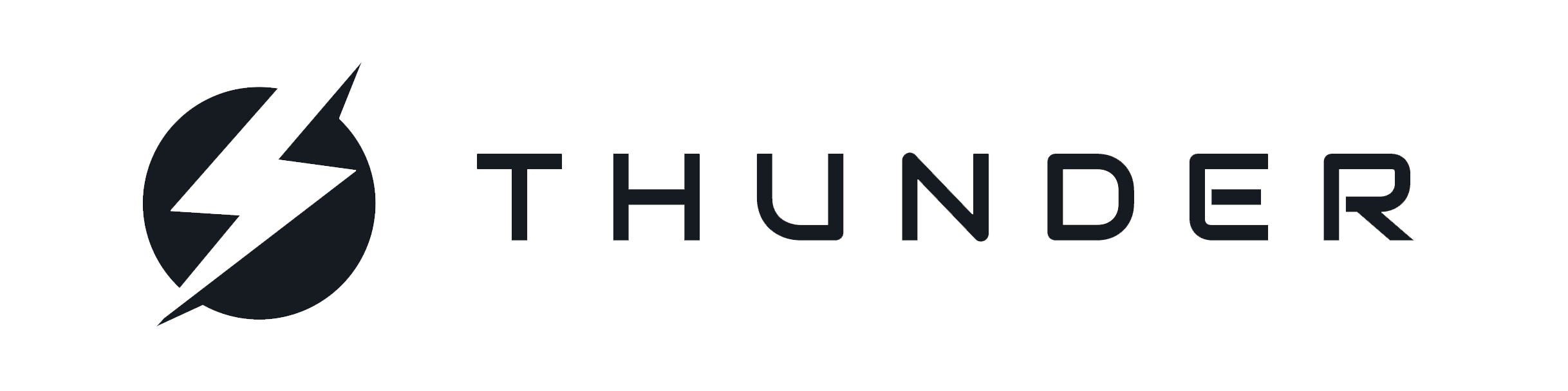 Thunder Labs, Inc logo